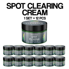 Spot Clearing Cream - Unclogs Pores, Fades Stubborn Dark Spots & Lightens Acne Scars,