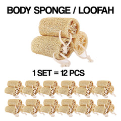 Body Sponge / Loofah