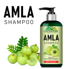 Amla Shampoo آملہ Keep Your Hair Follicles & Scalp Healthy & Nourishment - No. 1️⃣ Choice 👌